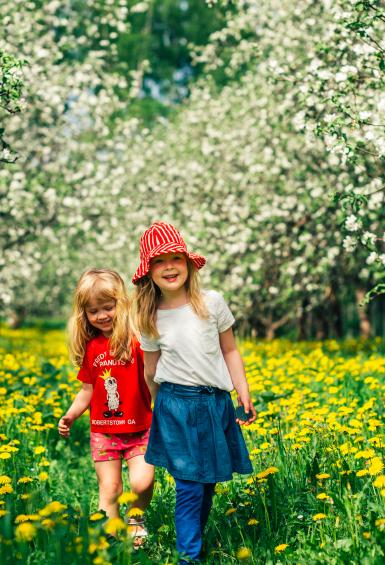 Two small girls are smiling and walking towards the camera through a meadow of yellow flowers. There are two rows of trees in full blossom either side of them that stretch into the distance.