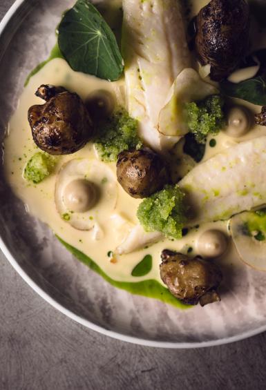 Seen from above, Pike perch fillets presented beautifully on a bed of creamy sauce with greens doted around the plate on a slate grey tabletop.