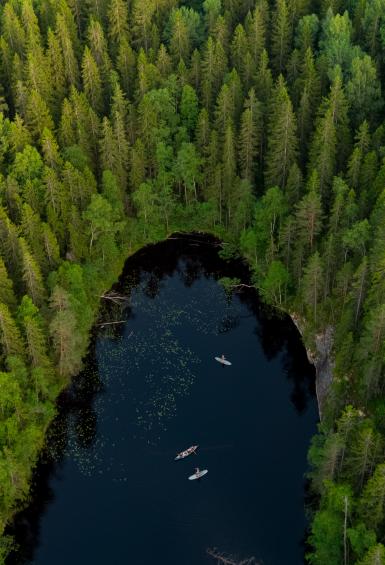 Aerial view of a small, dark lake shaped like a thumbprint, surrounded by trees in Nuuksio national park.