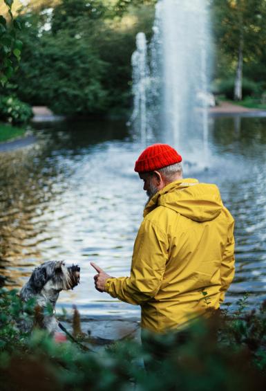 In front of a small lake with fountains at its center and surrounded by bushes and trees, an older gentleman stands with their dog in Alppipuisto park