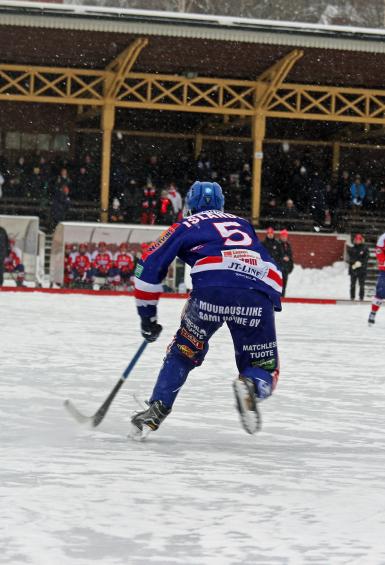 Botnia player in a bandy game 
