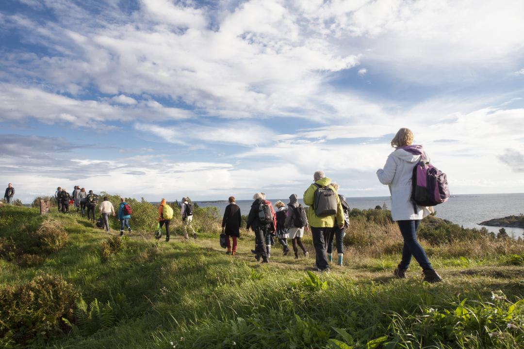A group of people hike across a grassy hill in Vallisaari, sea on the horizon, walking away from the camera and along the trail to the left. The sky is partially cloudy.