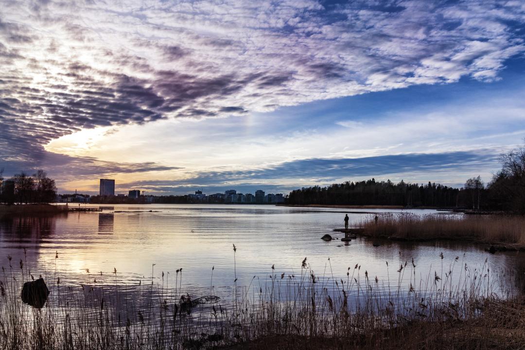 View from Lauttasaari overlooking a bay surrounded by reeds and grasses, where the city can be seen on the horizon to the left. The sky is a mixture of brilliant blue, distorted to dusky purples by clouds on the left and reflected in the water..