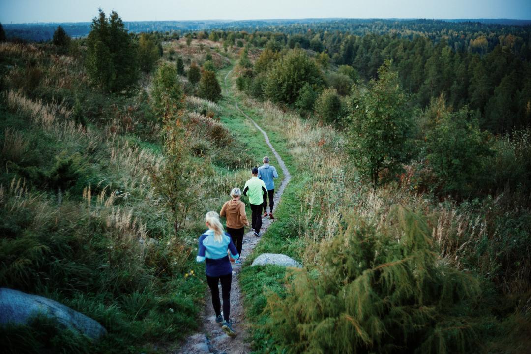 Vuosaari landfill hill, four people are jogging away from the camera, down a trail surrounded by meadow and trees that stretch into the distance.
