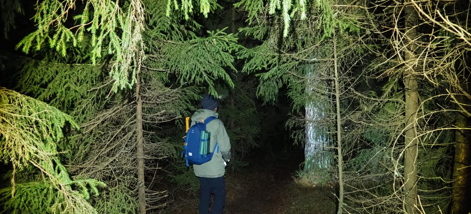 Discover national park with flashlights and Taiga Times 