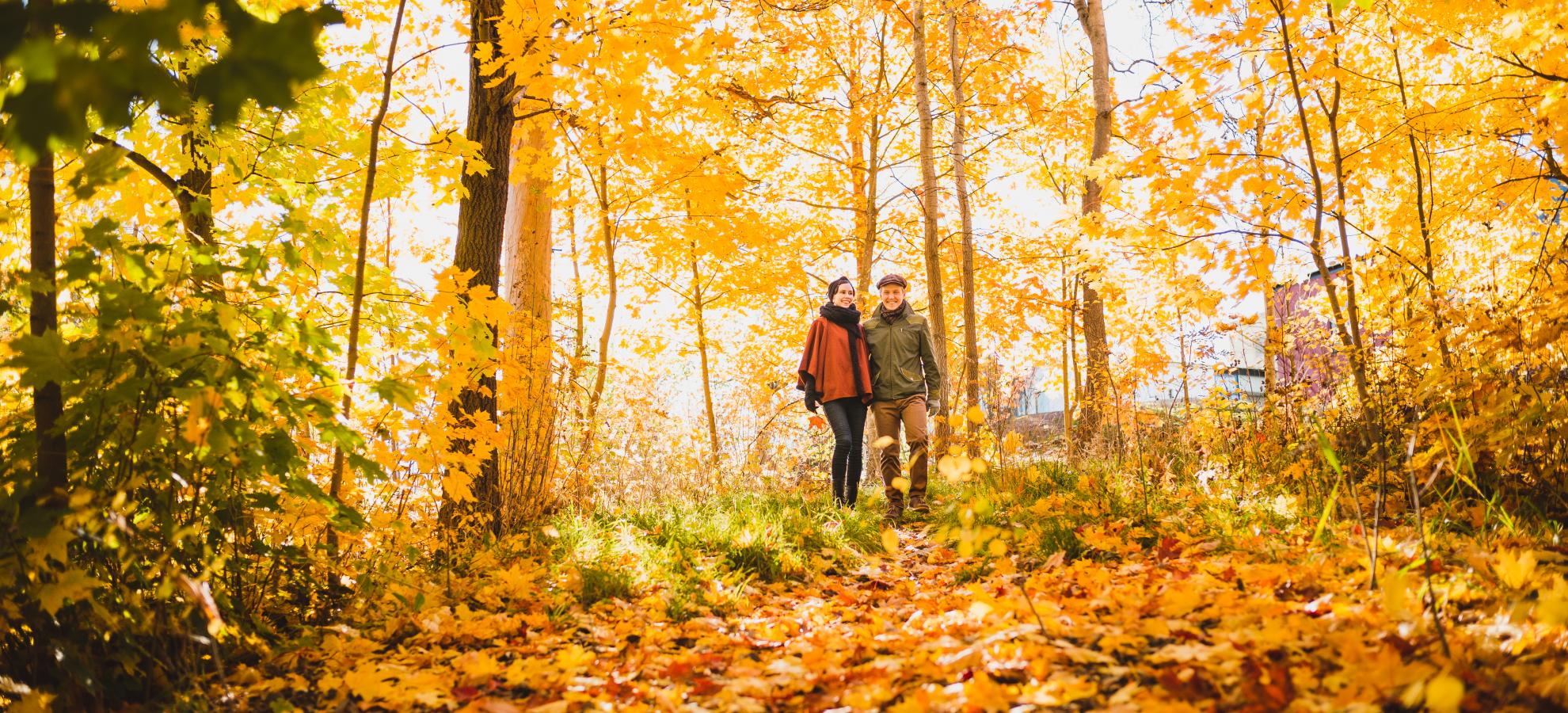 Couple walking in the forest during fall foliage.